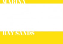 ArtSS12 discount coupon_YELLOWfront plain